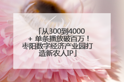 从300到4000+ 单条播放破百万！枣阳数字经济产业园打造新农人IP