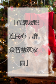代表履职连民心，群众智慧筑家园