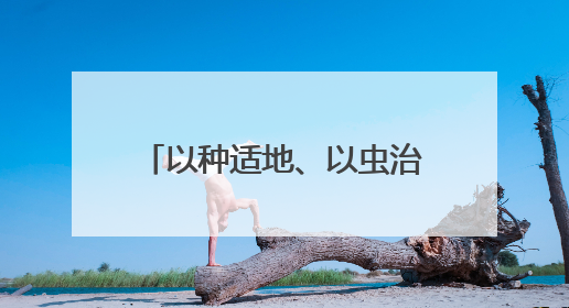以种适地、以虫治虫……科技赋能“三夏” “智慧种地”绘就好“丰”景