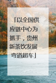 以全国供应链中心为抓手，贵州新茶饮发展弯道超车