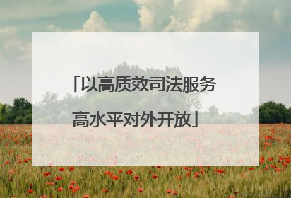 以高质效司法服务高水平对外开放