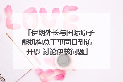 伊朗外长与国际原子能机构总干事同日到访开罗 讨论伊核问题