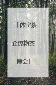 休宁茶企惊艳茶博会