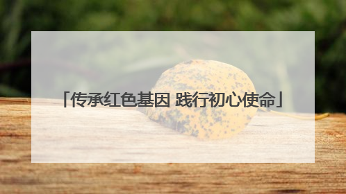 传承红色基因 践行初心使命