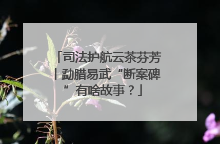 司法护航云茶芬芳丨勐腊易武“断案碑”有啥故事？