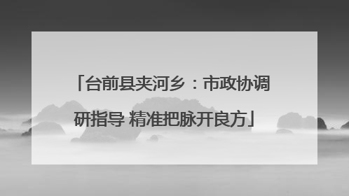 台前县夹河乡：市政协调研指导 精准把脉开良方