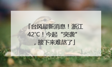 台风最新消息！浙江42℃！今起“突袭”，接下来难熬了