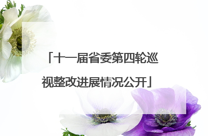 十一届省委第四轮巡视整改进展情况公开