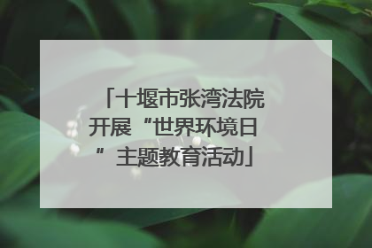 十堰市张湾法院开展“世界环境日”主题教育活动