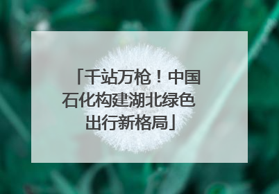 千站万枪！中国石化构建湖北绿色出行新格局