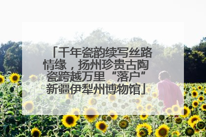 千年瓷韵续写丝路情缘，扬州珍贵古陶瓷跨越万里“落户”新疆伊犁州博物馆
