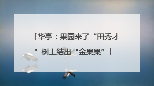 华亭：果园来了“田秀才”树上结出“金果果”