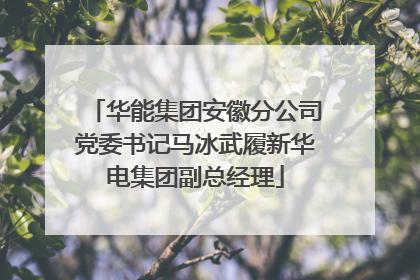 华能集团安徽分公司党委书记马冰武履新华电集团副总经理
