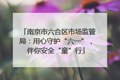 南京市六合区市场监管局：用心守护“六一”，伴你安全“童”行