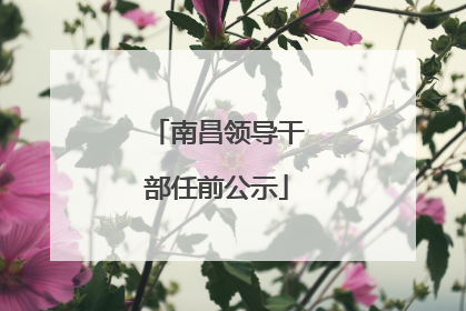南昌领导干部任前公示