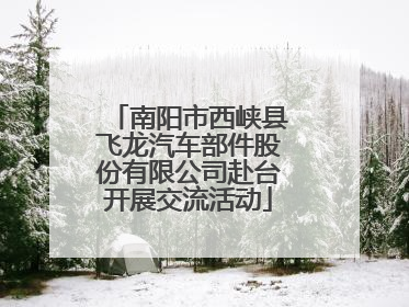 南阳市西峡县飞龙汽车部件股份有限公司赴台开展交流活动