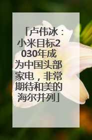 卢伟冰：小米目标2030年成为中国头部家电，非常期待和美的海尔并列