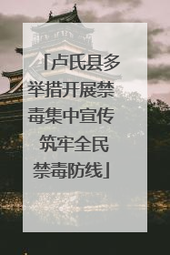 卢氏县多举措开展禁毒集中宣传 筑牢全民禁毒防线