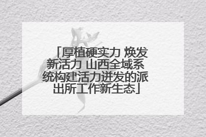 厚植硬实力 焕发新活力 山西全域系统构建活力迸发的派出所工作新生态
