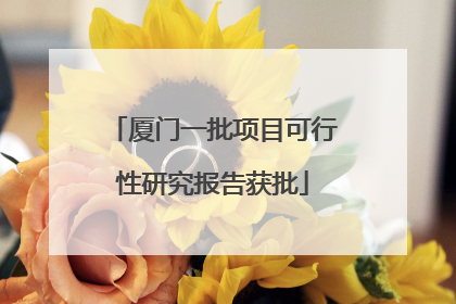 厦门一批项目可行性研究报告获批