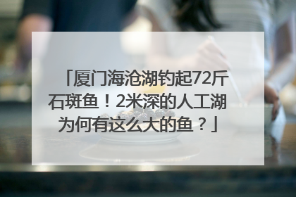 厦门海沧湖钓起72斤石斑鱼！2米深的人工湖为何有这么大的鱼？
