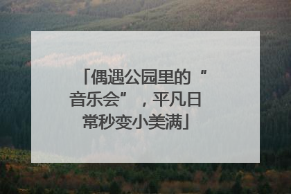 偶遇公园里的“音乐会”，平凡日常秒变小美满