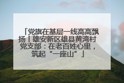 党旗在基层一线高高飘扬丨雄安新区雄县黄湾村党支部：在老百姓心里，筑起“一座山”