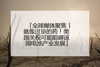 全球媒体聚焦丨就像过量的药！美国关税可能阻碍该国电池产业发展