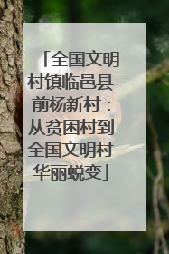 全国文明村镇临邑县前杨新村：从贫困村到全国文明村华丽蜕变