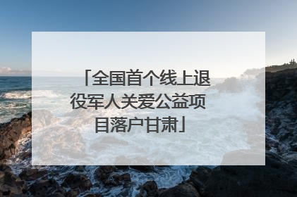 全国首个线上退役军人关爱公益项目落户甘肃