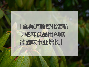 全渠道数智化领航，绝味食品用AI赋能卤味事业增长