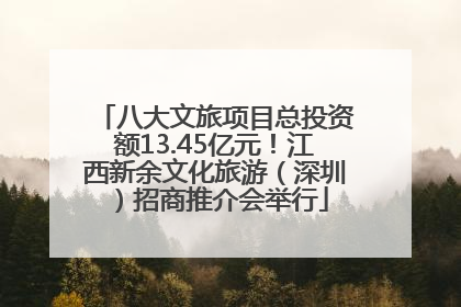 八大文旅项目总投资额13.45亿元！江西新余文化旅游（深圳）招商推介会举行
