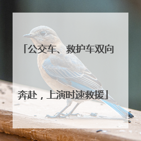 公交车、救护车双向奔赴，上演时速救援