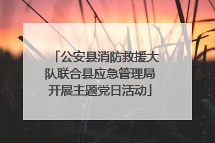 公安县消防救援大队联合县应急管理局开展主题党日活动