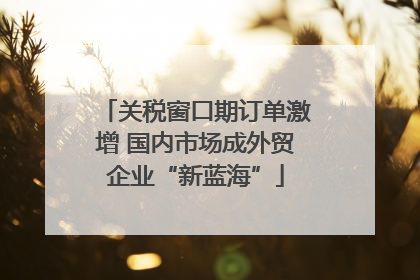 关税窗口期订单激增 国内市场成外贸企业“新蓝海”