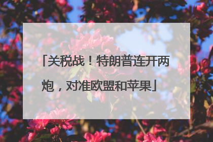 关税战！特朗普连开两炮，对准欧盟和苹果