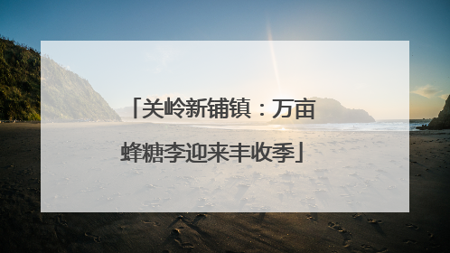 关岭新铺镇：万亩蜂糖李迎来丰收季