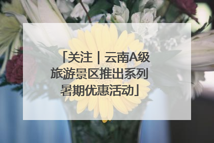 关注｜云南A级旅游景区推出系列暑期优惠活动