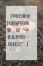 冈比亚农民穆萨的故事，是“中非友好的一段佳话”