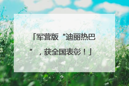 军营版“迪丽热巴”，获全国表彰！