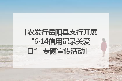 农发行岳阳县支行开展“6·14信用记录关爱日” 专题宣传活动