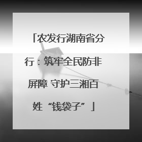 农发行湖南省分行：筑牢全民防非屏障 守护三湘百姓“钱袋子”