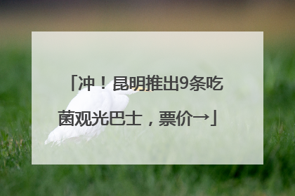 冲！昆明推出9条吃菌观光巴士，票价→