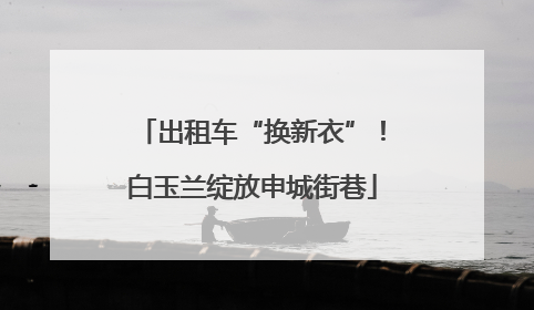 出租车“换新衣”！白玉兰绽放申城街巷