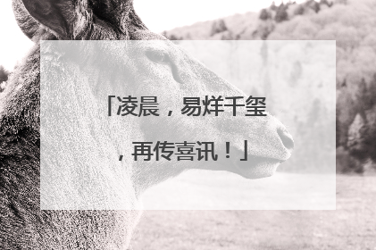 凌晨，易烊千玺，再传喜讯！