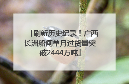 刷新历史纪录！广西长洲船闸单月过货量突破2444万吨