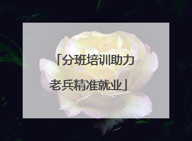 分班培训助力老兵精准就业