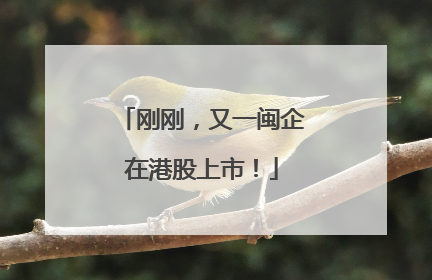 刚刚，又一闽企在港股上市！