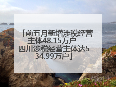 前五月新增涉税经营主体48.15万户 四川涉税经营主体达534.99万户