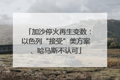 加沙停火再生变数：以色列“接受”美方案、哈马斯不认可